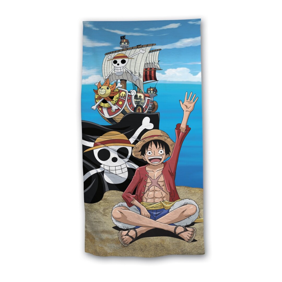 Luffy With Thousand Sunny