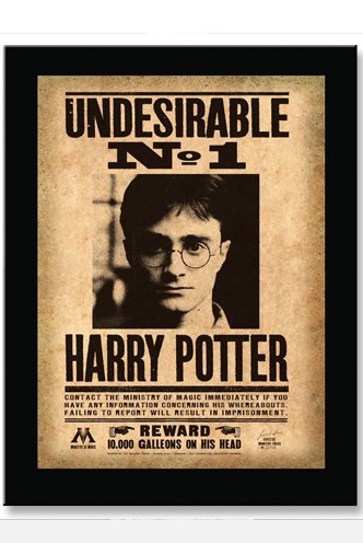 Harry Potter - Cartel y marco "Undesirable N°1" 