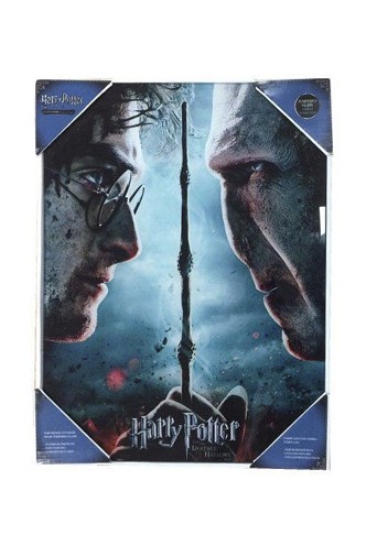 Harry Potter - Póster de Vidrio Harry & Voldemort 