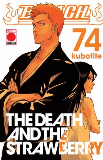 Bleach 74