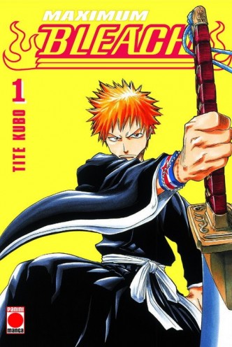 Bleach Maximum 01