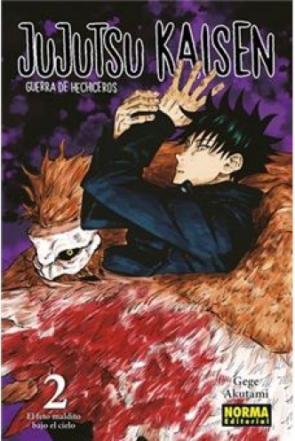 Jujutsu Kaisen 02