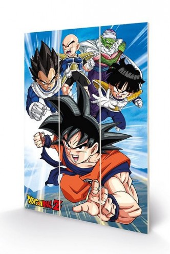 Dragon Ball - Cuadro Madera Heroes 