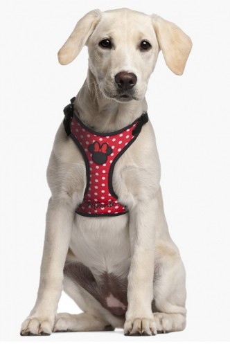 Minnie Dog Harness