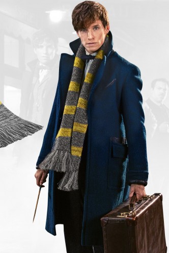 Fantastic Beasts and Where to Find Them - Newt Scamander Scarf