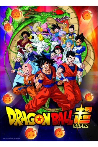 Dragon Ball Super Puzzle Characters (1000 piezas)