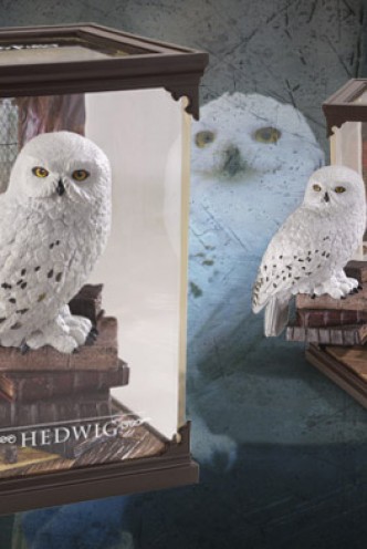 Harry Potter: Criaturas mágicas - Hedwig