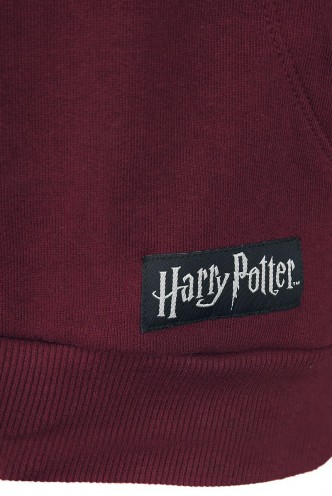 Harry Potter - Sudadera Gryffindor