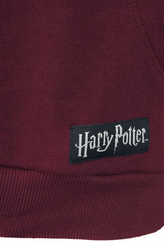 Harry Potter - Gryffindor Hoodie