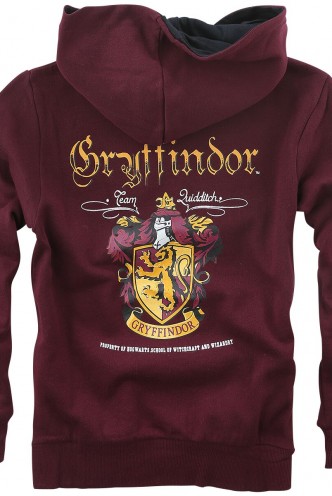 Harry Potter - Gryffindor Kids Hoodie