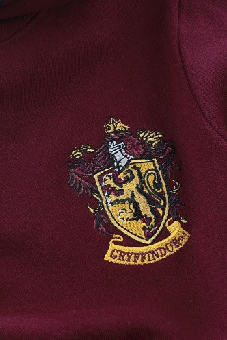 Harry Potter - Gryffindor Kids Hoodie