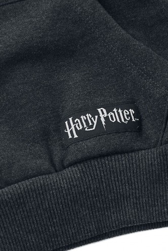 Harry Potter - Sudadera Niño Hufflepuff