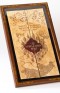 Marauder's Map Display Case - Harry Potter