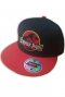 Jurassic Park - Snap Back Cap Logo