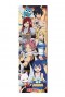 Fairy Tail - Door Poster