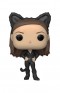 Pop! TV: Friends - Monica as Catwoman