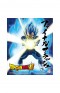 DRAGON BALL SUPER - POSTER 3D OVERPOWERED TEAM UP