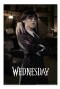 Wednesday: Miércoles - Poster Room