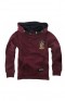 Harry Potter - Gryffindor Kids Hoodie