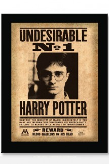 Harry Potter - Cartel y marco "Undesirable N°1" 