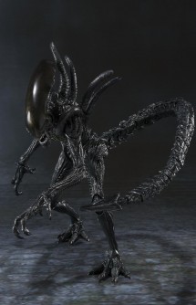 S.H.MonsterArts: ALIEN VS PREDATOR "Alien Warrior" 17cm.
