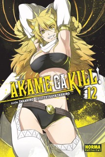 Akame Ga Kill! 12