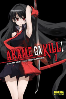 Akame Ga Kill! 01