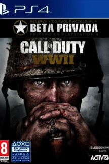 Call Of Duty WW II Ps4