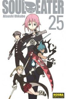 SOUL EATER 25