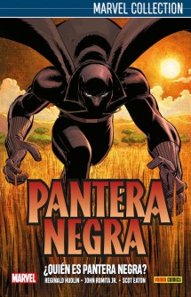 Pantera Negra de Hudkin 1: ¿Quien es Pantera Negra?