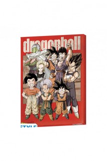 Dragon Ball - Canvas Crew