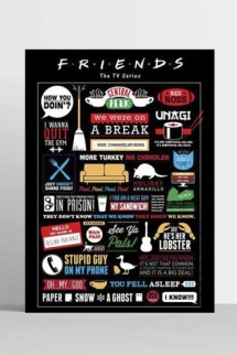 Friends - Maxi Poster Infographic