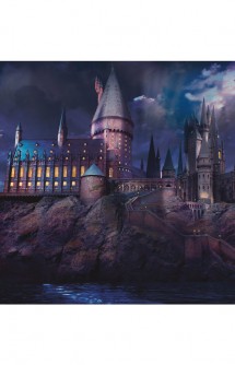 Póster Harry Potter Hogwarts