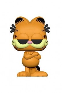 Pop! Comics: Garfield - Garfield