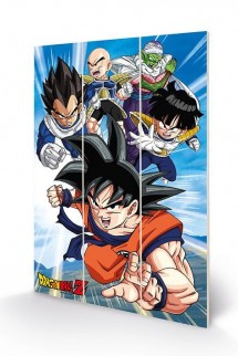 Dragon Ball -  Heroes Wooden Frame