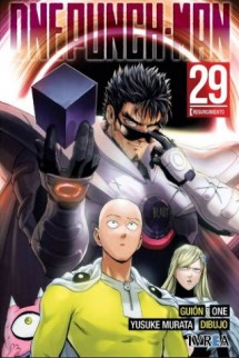 One Punch-Man 29