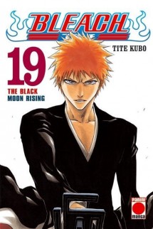 Bleach nº19