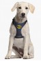 Batman Harness