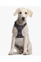 Star Wars Darth Vader Harness