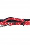 Minnie Leash