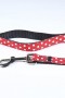 Minnie Leash