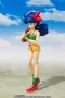 Dragon Ball - Lunch Sh Figuarts Figure