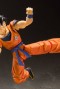 Dragon Ball - Son Goku Saiyan Raised on Earth Sh Figuarts