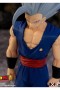 Dragon Ball Super - Gohan (Beast) Super Hero DXF Figure