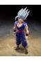 Dragon Ball Super Hero -  Son Gohan Beast Figure SH Figuarts 