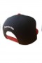 Jurassic Park - Snap Back Cap Logo