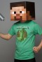 Minecraft Steve Head