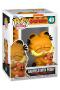 Pop! Comics:  Garfield - Garfield w/ Pooky