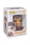 Pop! Movies: Harry Potter w/ 2 Wands Ex