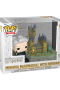 Pop! Town Deluxe: Harry Potter - CoS 20th - Minerva w/Hogwarts